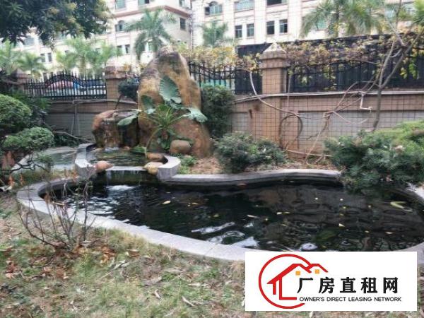  政府厂房出租，有环评，带装修，带补贴