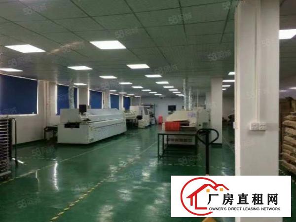  政府厂房出租，有环评，带装修，带补贴