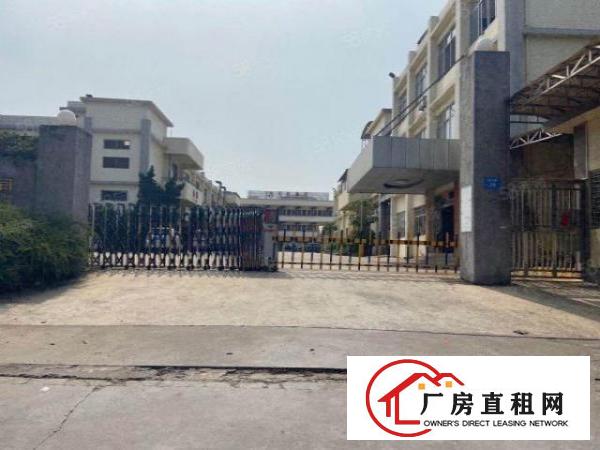  杨屋原房东精装修电子厂房1250