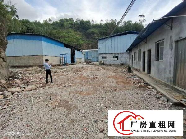  大岭山原房东独门独院单一层3000平米厂房招租空地20000