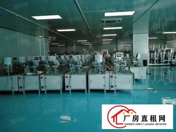  大岭山千级无尘车间6000平方原房东厂房无转让费可分租