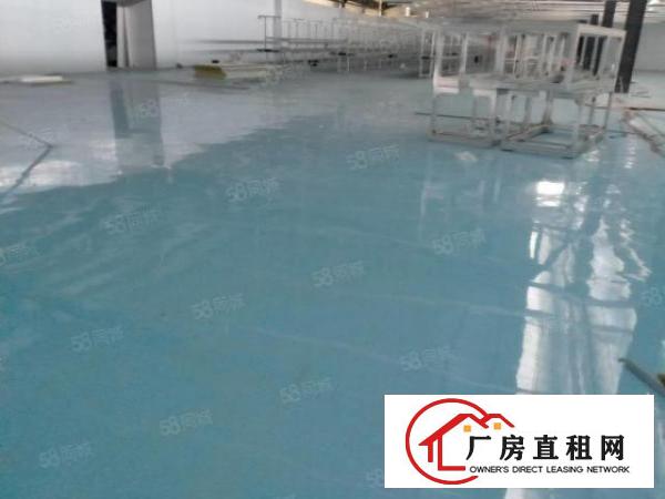  大岭山千级无尘车间6000平方原房东厂房无转让费可分租
