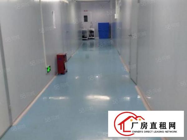  大岭山千级无尘车间6000平方原房东厂房无转让费可分租