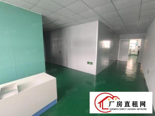  大岭山杨屋新出楼上350平方无尘车间，适合电子小加工等行业