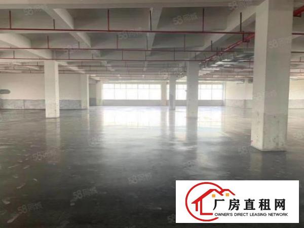  免中介费！大岭山镇18万平方米高端产业园区5G网络覆盖出租