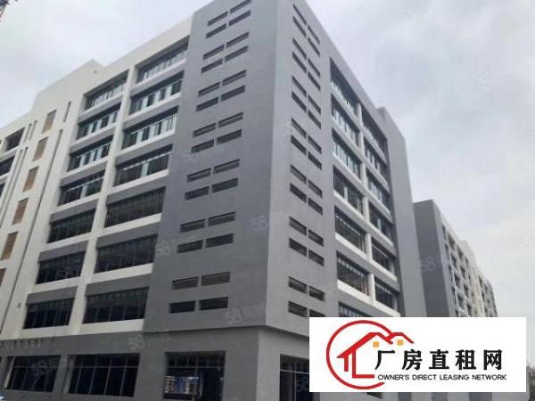  免中介费！大岭山镇18万平方米高端产业园区5G网络覆盖出租