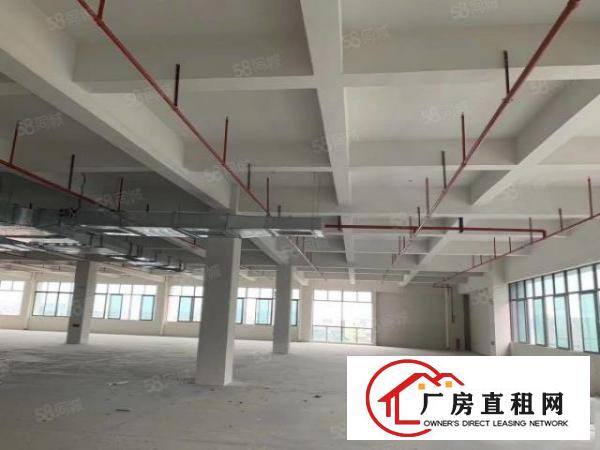  免中介费！大岭山镇18万平方米高端产业园区5G网络覆盖出租