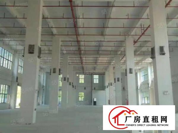  大岭山政府工业园厂房招商，带政府项目补贴