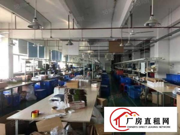  大岭山镇原房东出租杨屋楼上500平厂房有精装修可分租