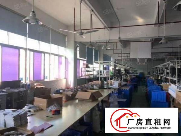  大岭山镇原房东出租杨屋楼上500平厂房有精装修可分租