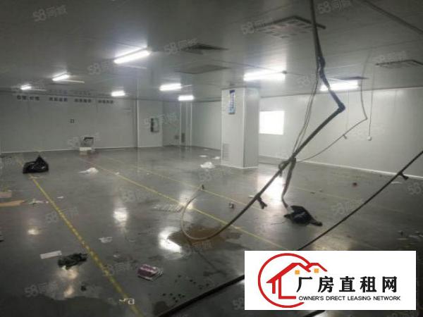  大岭山马蹄岗3500平独院标准厂房出租现成无尘车间可分租