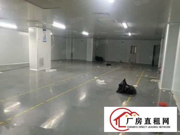 大岭山马蹄岗3500平独院标准厂房出租现成无尘车间可分租