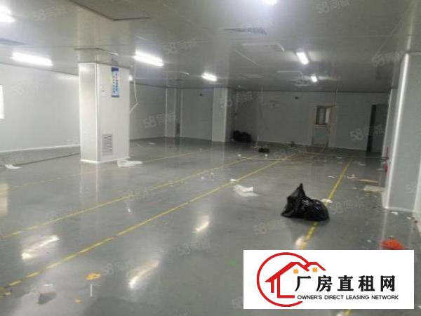  大岭山马蹄岗3500平独院标准厂房出租现成无尘车间可分租