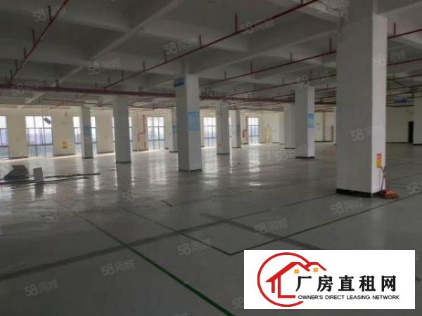  大岭山高新科技园楼上整层3700平厂房出租带电梯空地大可分租