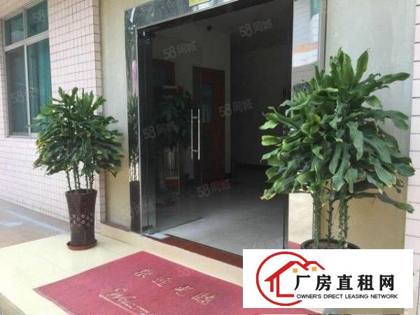  大岭山独院单一层砖墙到顶厂房3600平方出租污染行业