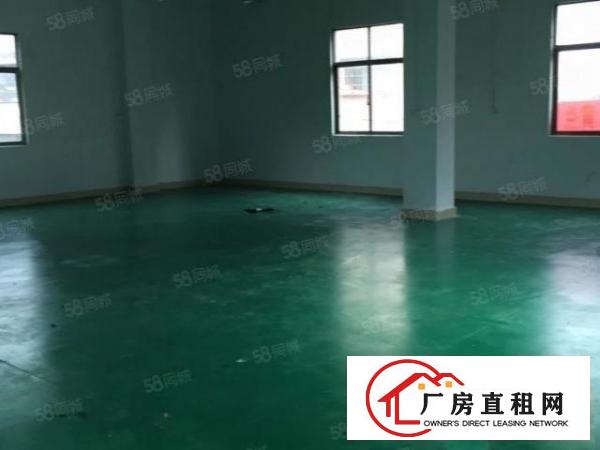  下虎山本地房东自建小独栋一到二层共580方标准厂房出租