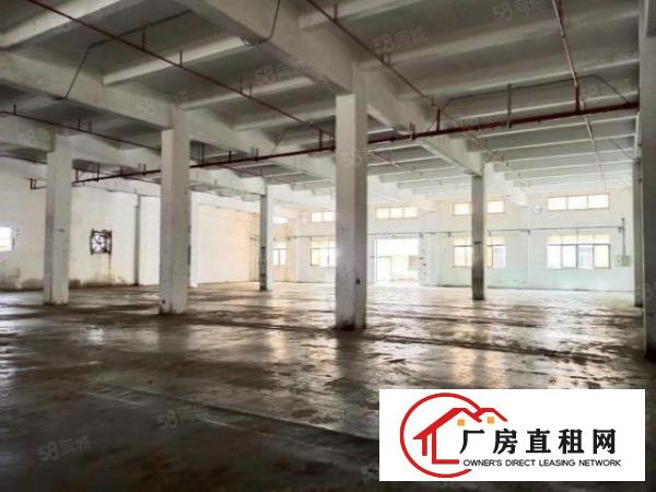  大岭山连马路边1800平单一层标准厂房出租，可办环评