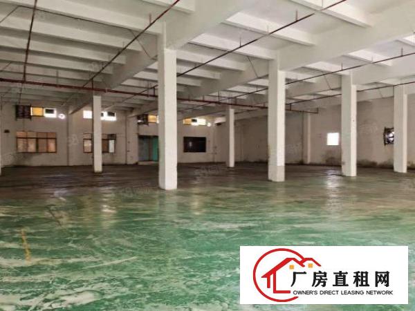  大岭山连马路边1800平单一层标准厂房出租，可办环评