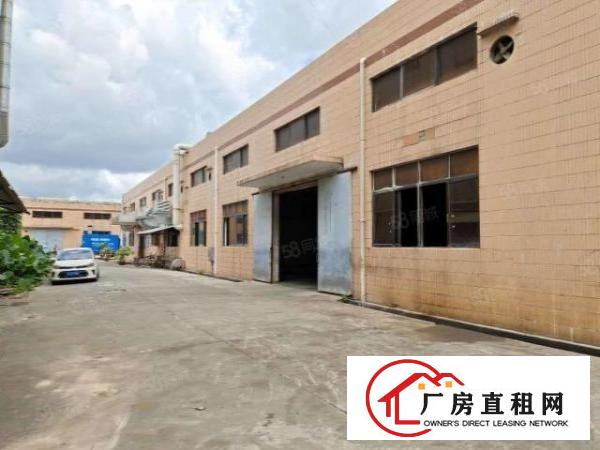  大岭山连马路边1800平单一层标准厂房出租，可办环评
