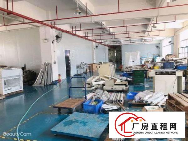  大岭山新出工业园楼上3400平方，租金优惠