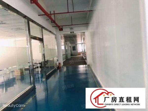  大岭山新出工业园楼上3400平方，租金优惠