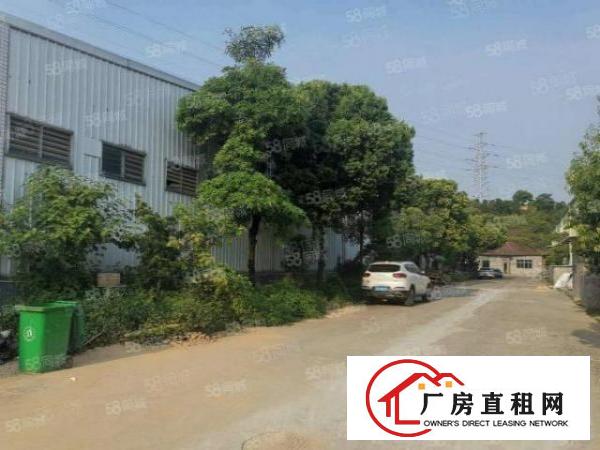  可办环坪鸡翅岭空出原房东独院单一层钢构2000平厂房出租