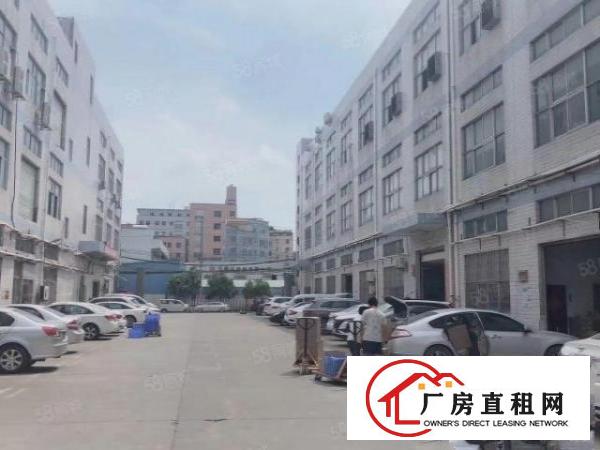  大岭山杨屋工业区即将空出二楼厂房3050平米，可分租