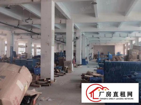  大岭山杨屋工业区即将空出二楼厂房3050平米，可分租