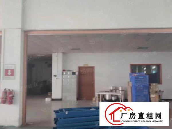  大岭山杨屋工业区即将空出二楼厂房3050平米，可分租