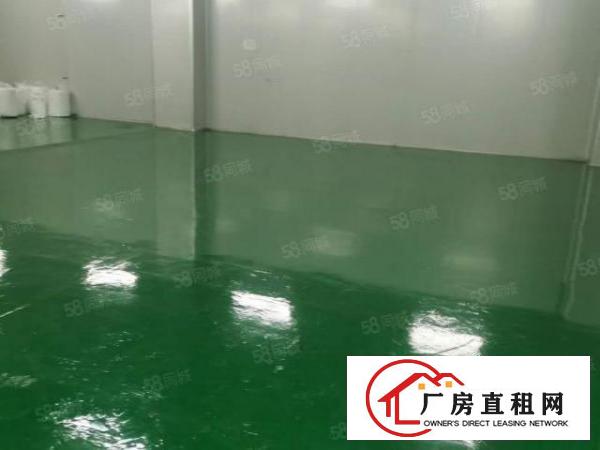  大岭山5600平方精装修厂房低价出租，全新装修无需转让费