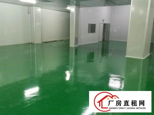  大岭山5600平方精装修厂房低价出租，全新装修无需转让费