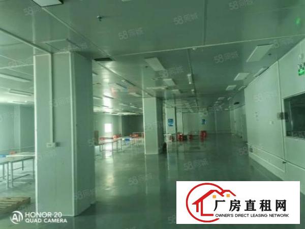  大岭山5600平方精装修厂房低价出租，全新装修无需转让费