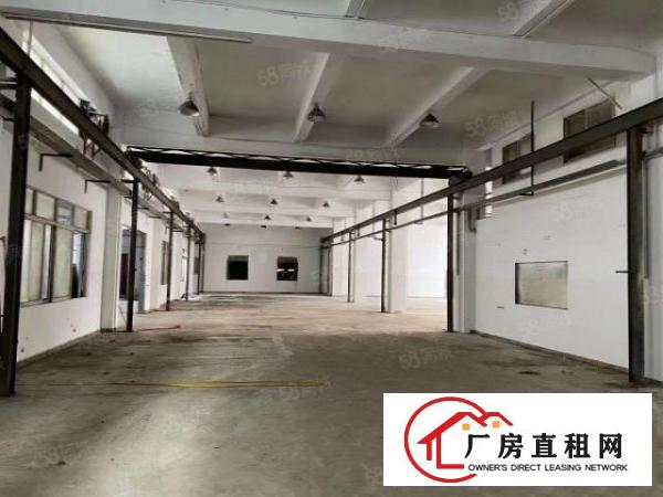  出租大岭山镇区1200平标准厂房，现成行车免费用阁楼办公室