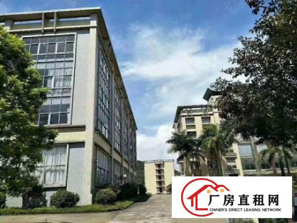  百花洞原房东5000平独院高新工业园带办公室无尘车间厂房出租
