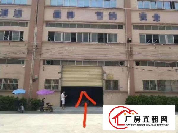  向东工业园新出一楼1200平厂房招租带地坪漆精装修6.8米高
