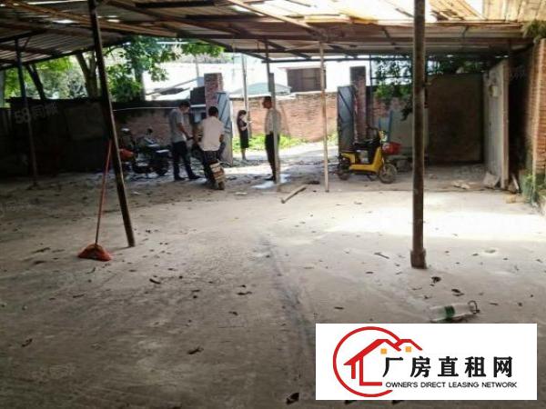  大塘村原房东自建单一层铁皮厂房350方出租