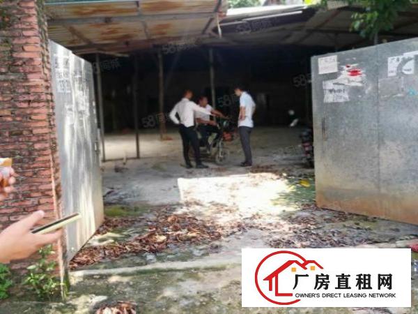  大塘村原房东自建单一层铁皮厂房350方出租