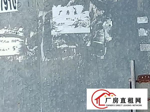  大塘村原房东自建单一层铁皮厂房350方出租