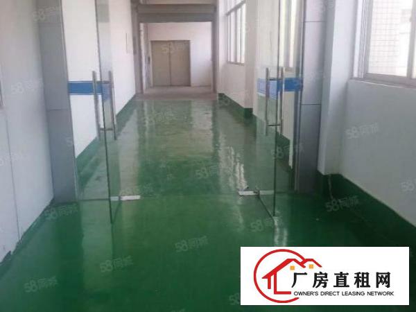  大岭山新出楼上1000平方无尘车间主线地坪水电齐全