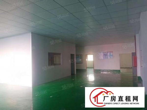  大岭山新出楼上1000平方无尘车间主线地坪水电齐全