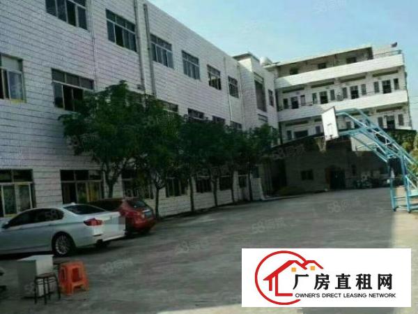  大岭山新出500平方厂房，现场装修，价格便宜