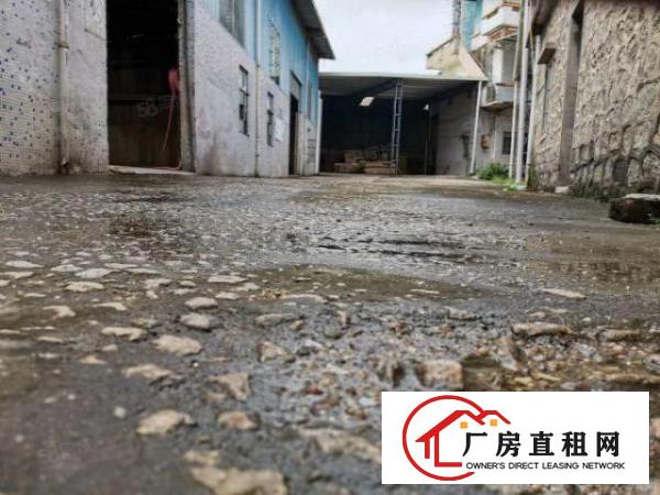  大沙空出原房东单一层经典独门独院1800方钢构厂房出租