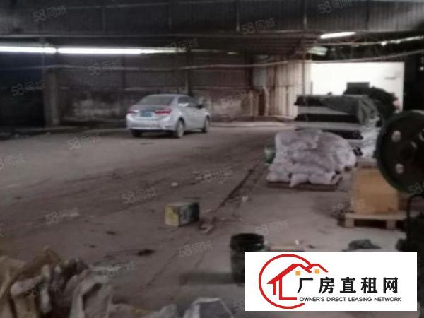  大沙空出原房东单一层经典独门独院1800方钢构厂房出租
