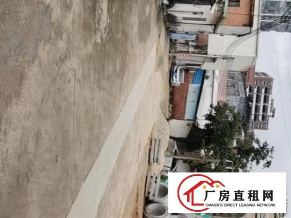  大沙空出原房东单一层经典独门独院1800方钢构厂房出租