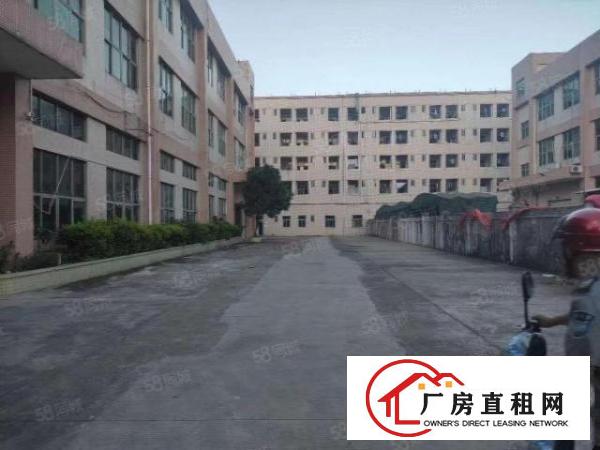  大岭山新出楼上880平方带现成办公室地坪漆