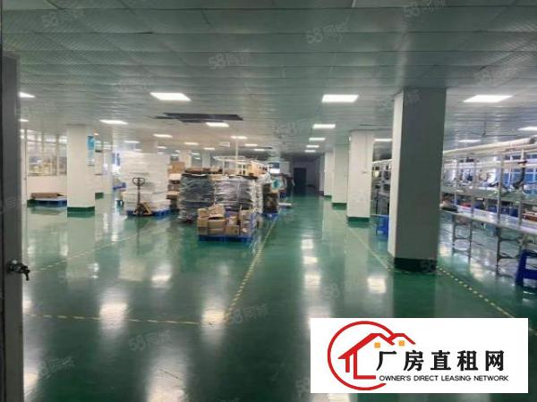  杨屋九成新高大上厂房出租带豪华办公楼，大小分租
