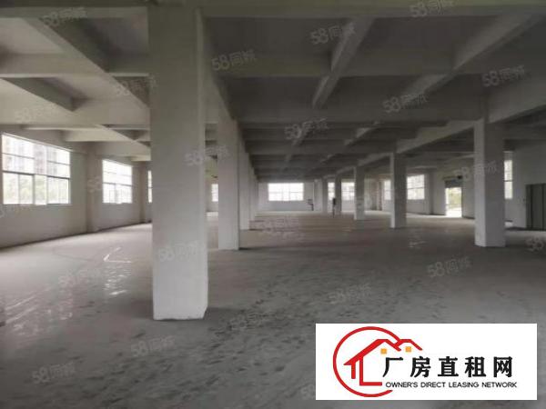  原房东2000平无公摊精装修带办公室环评独院独栋标准厂房出租