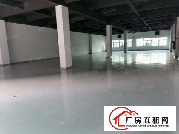  原房东2000平无公摊精装修带办公室环评独院独栋标准厂房出租