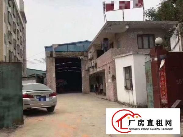  大岭山原房东经典小独院独院单一层1100方钢构厂房出租