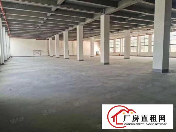  大岭山新出全新标准独院厂房分租700平方，可办环评